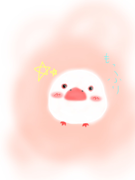 モッフリ白文鳥