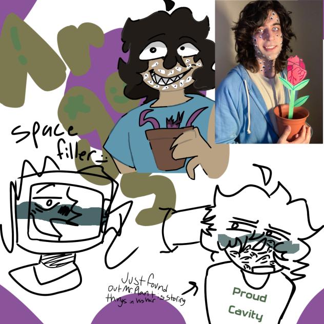 yippe argos