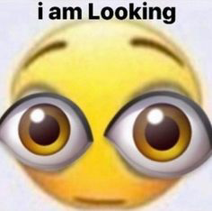 i am looking