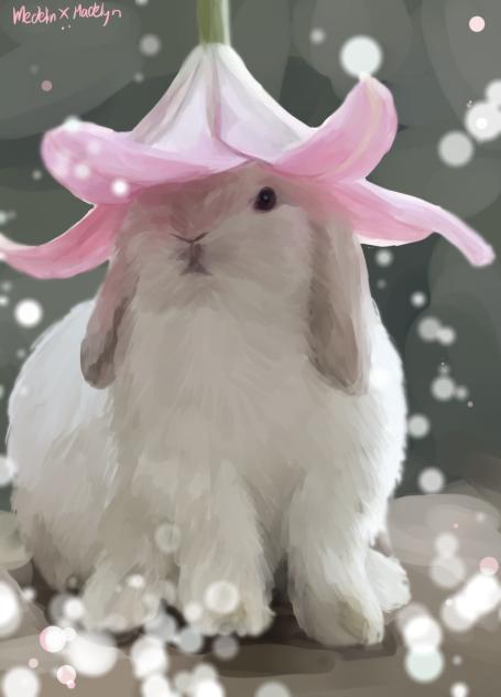 🐇 bunny ✨️🌸🫧