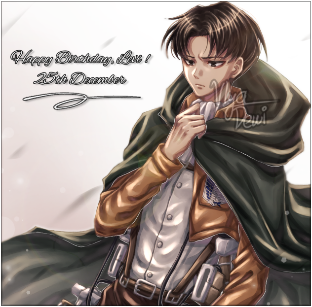 Happy (Late) Birthday Levi !!