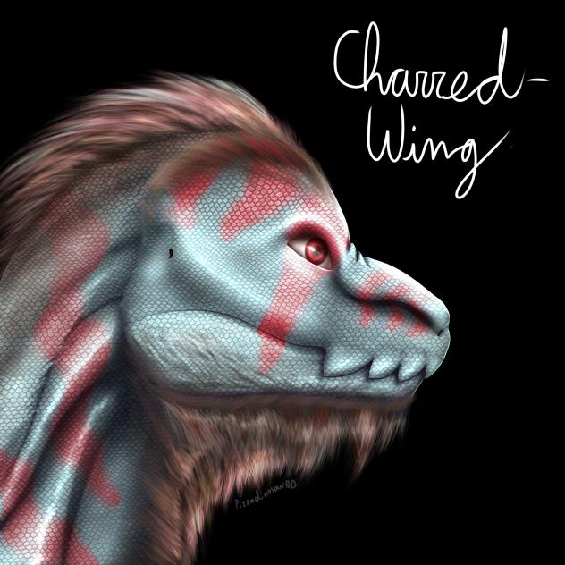 Charred-Wing (OC)