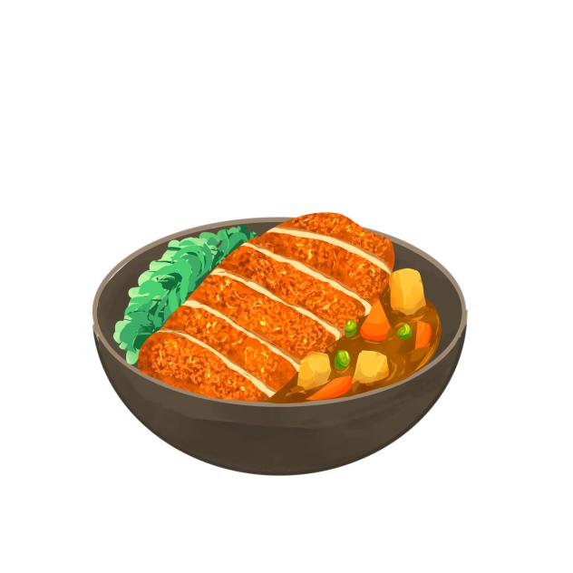 IBM4804 katsu curry