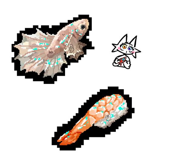Betta + Sushi !