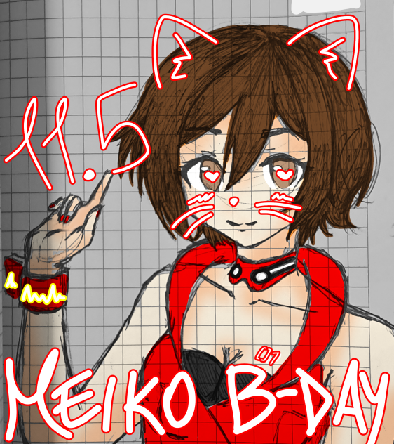 HAPPY BIRTHDAY MEIKO-SAN