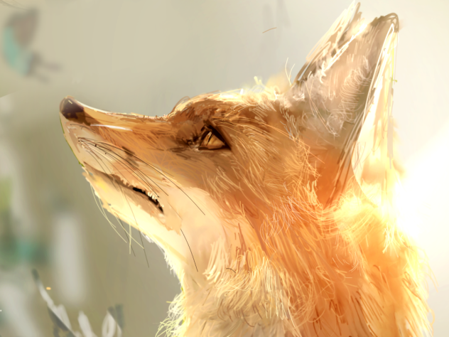 🦊　差分