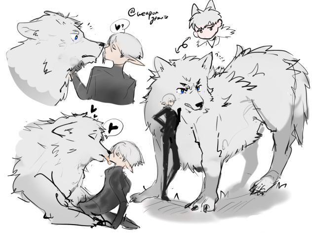 犬テオ②