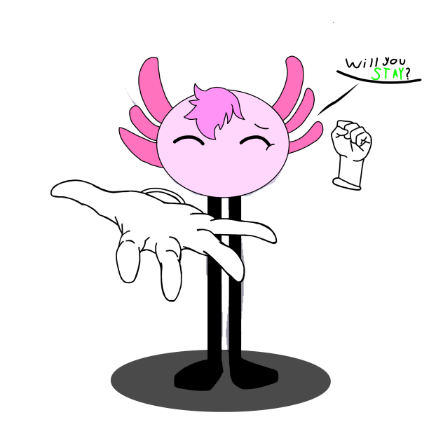 KinitoPet