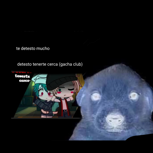 la mera verdad