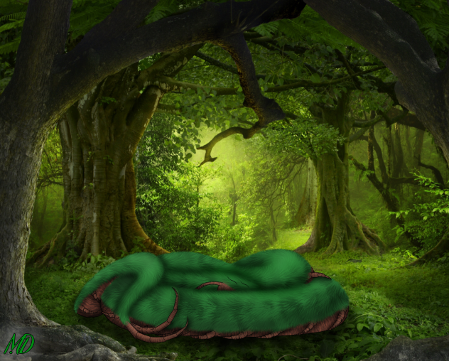 Snake+centipede