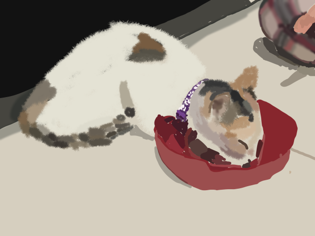 cat - ibisPaint