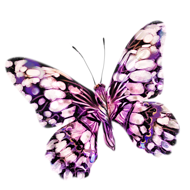 Elegant Butterfly