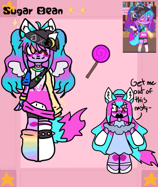 ✨SUGAR BEAN✨✨✨✨