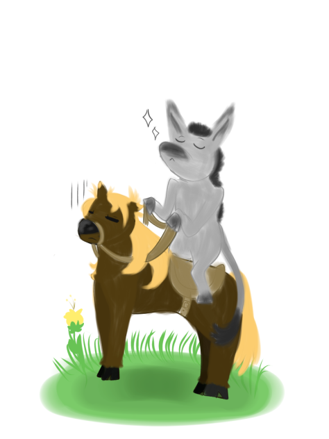 Donkey riding a Horse