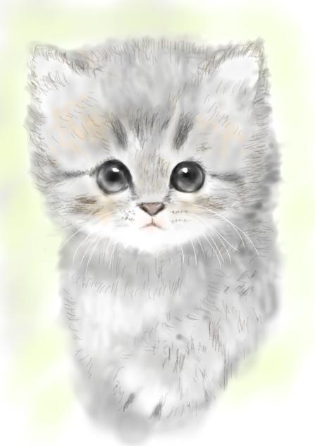 ねこ15