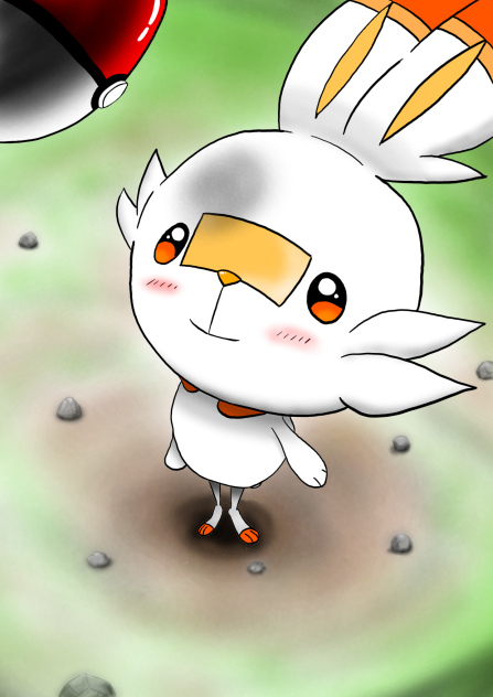 ポケモン　ヒバニー！君に決めた！！