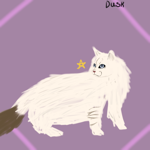 cat 🔥🔥🔥 - ibisPaint