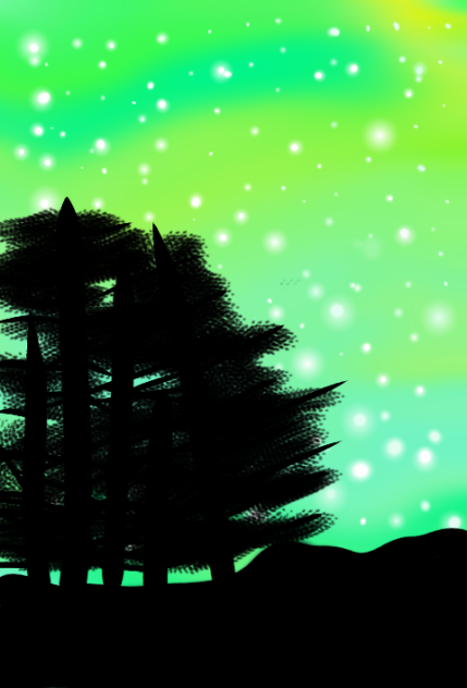 Night Forest - ibisPaint