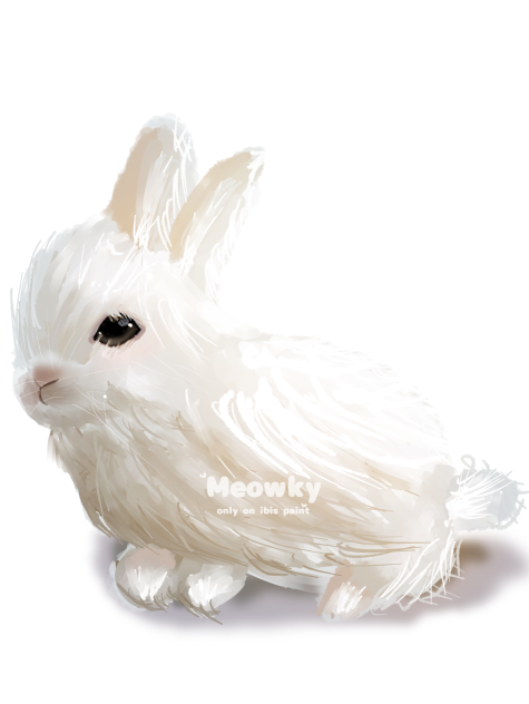 bunny (~＾▽＾)