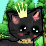 Cat🤨