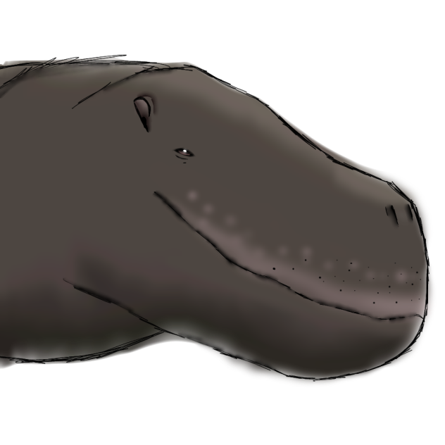 Daeodon Reconstruction...
