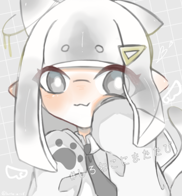 しろねこ。様へ！