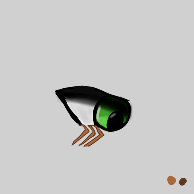 Eren