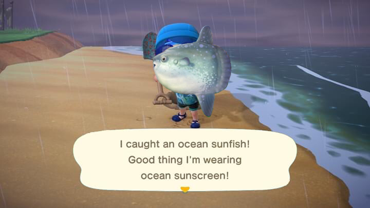 Ocean sunfish edit 2 - ibisPaint