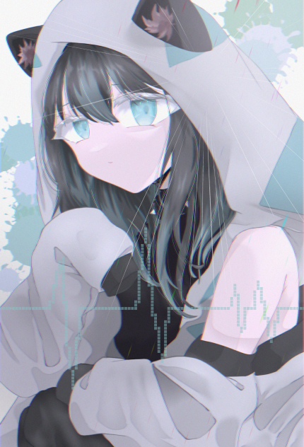 ぱーかーぬこ