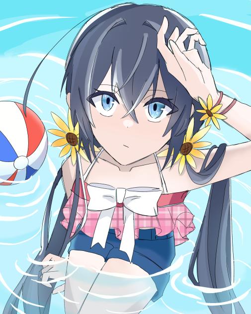 海