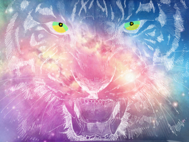 cosmos
