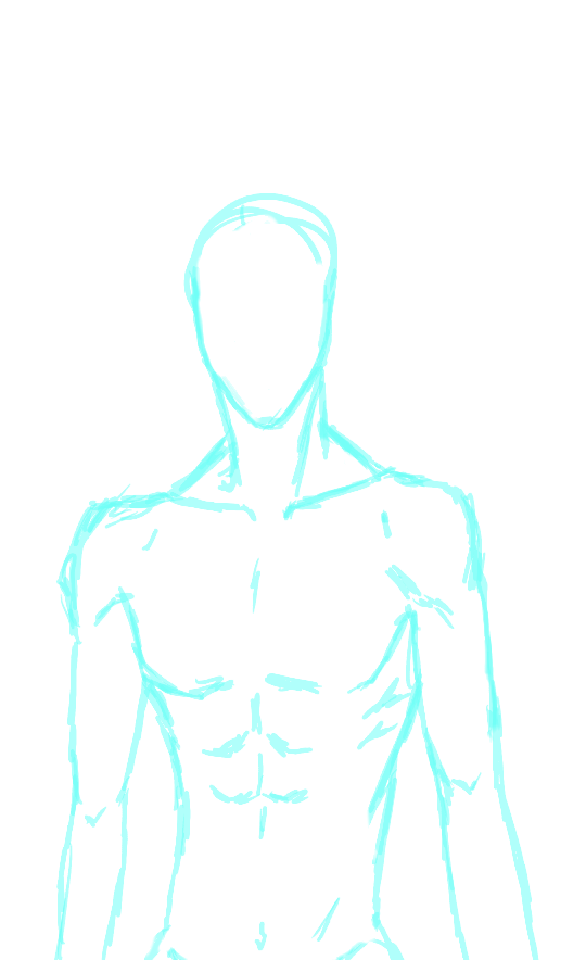male body porpotion - ibisPaint