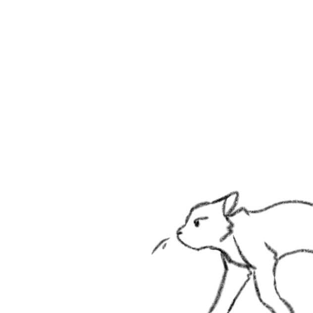 Cat and mouse