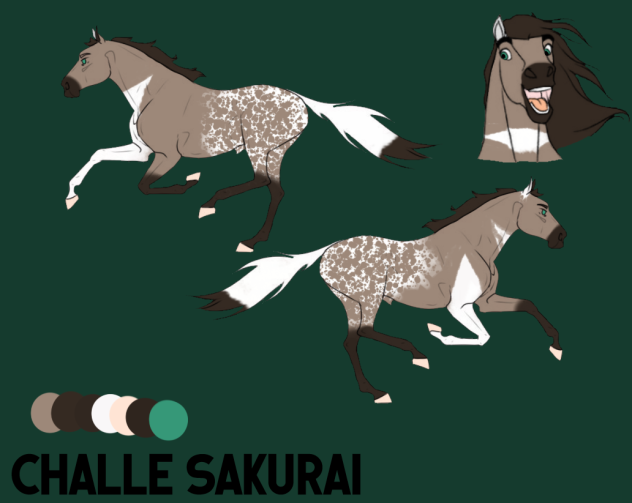 Challe Sakurai - Reference Sheet