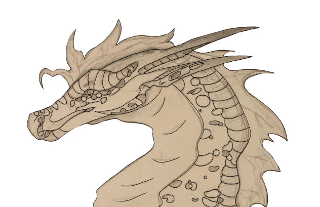 Another dragon