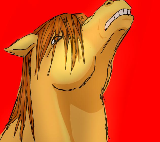 angry horse
