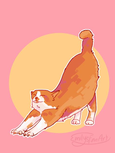 cat studyyy