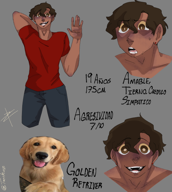 Golden Retriver