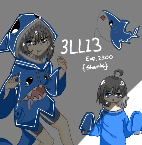 3LL13