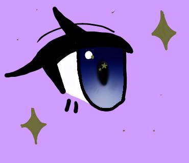 星の目
