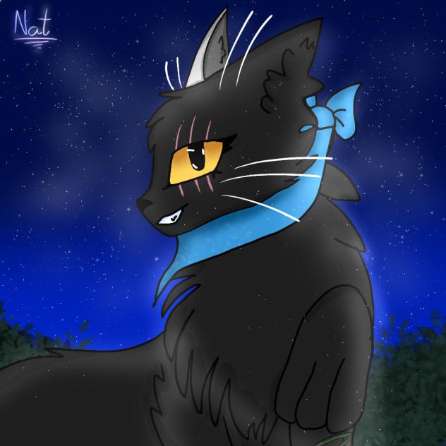 My warrior cats OC