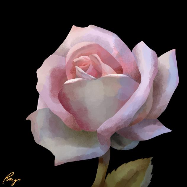 Rose ~