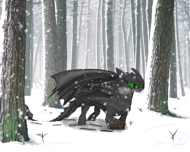 Still Here in the Woods