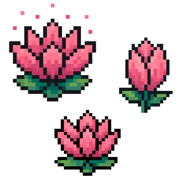 lotus flower