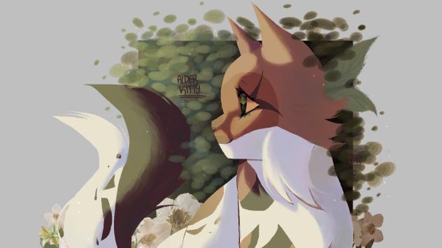 MapleBush
