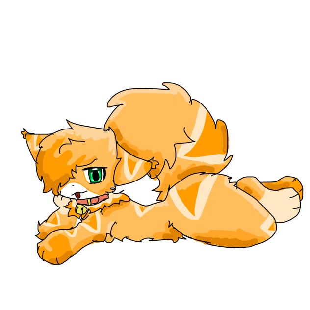 Amber kitty