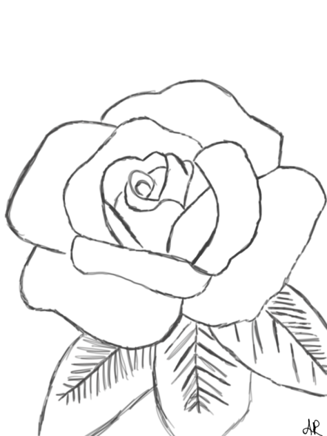 Rose - ibisPaint