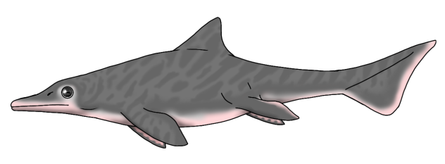 Gray Efadefish render
