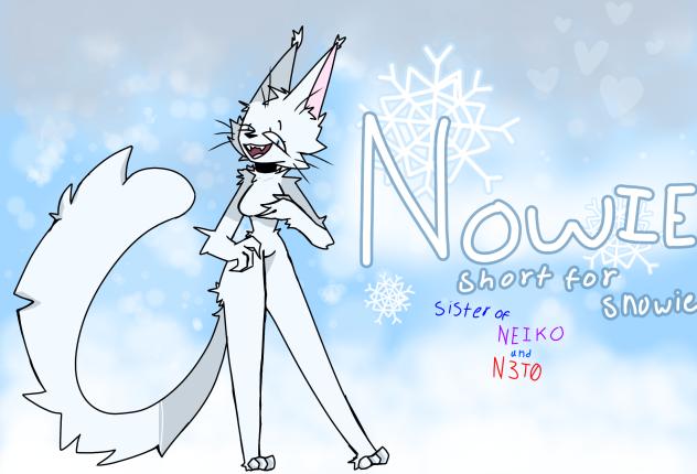 ❄️Nowie🐱