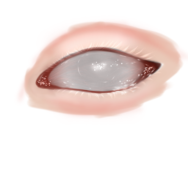 EYE - ibisPaint